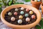 Blossombs Seed Bombs - Mini-Geschenkset (4 Stück) - originelles und praktisches Geschenk in einem