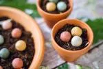 Blossombs Seed Bombs - Mini-Geschenkset (4 Stück) - originelles und praktisches Geschenk in einem