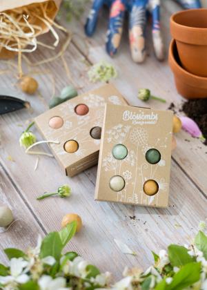 Seed Bombs - Mini-Geschenkset 