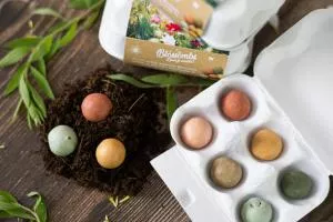 Blossombs Samenbomben - Ei-Geschenkbox - Blumenstrauß (6 Stück) - ein originelles und praktisches Geschenk