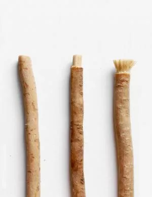 Yoni Natürliche Zahnbürste aus Salvadora persica (separat)