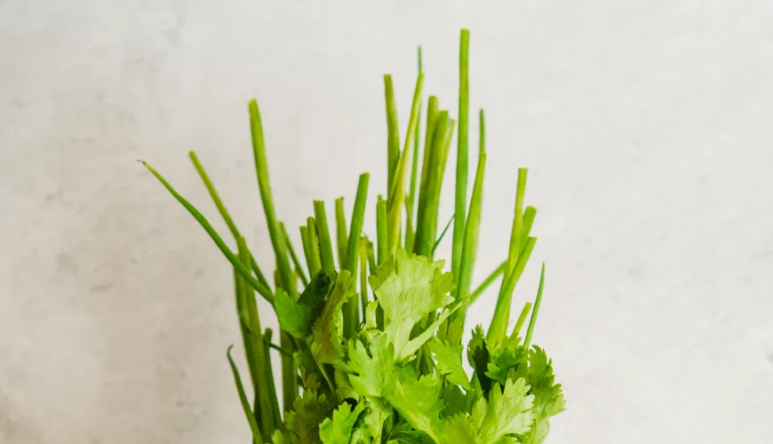 Warum sollte Fenchel Teil Ihres Speiseplans sein?